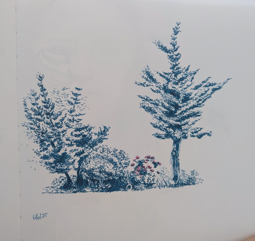A pen sketch of some trees and bushes with pink roses