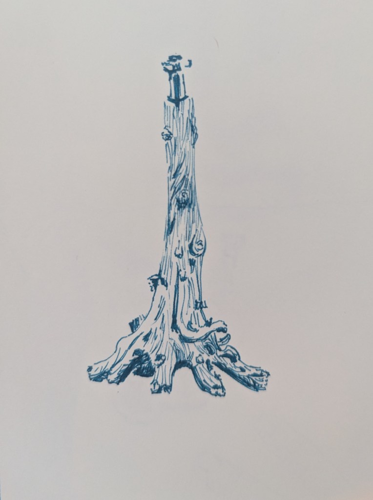 A pen sketch of a lamp base shaped like a tree with gnarled roots